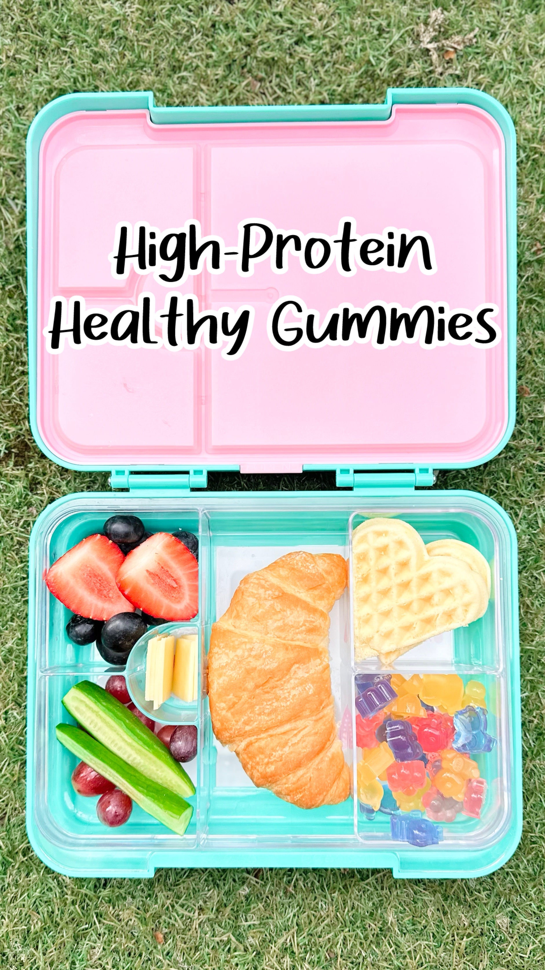 Healthy High-Protein Gummies Lunchbox Recipe Video Nutra Organics Gutsy Gummy Powder