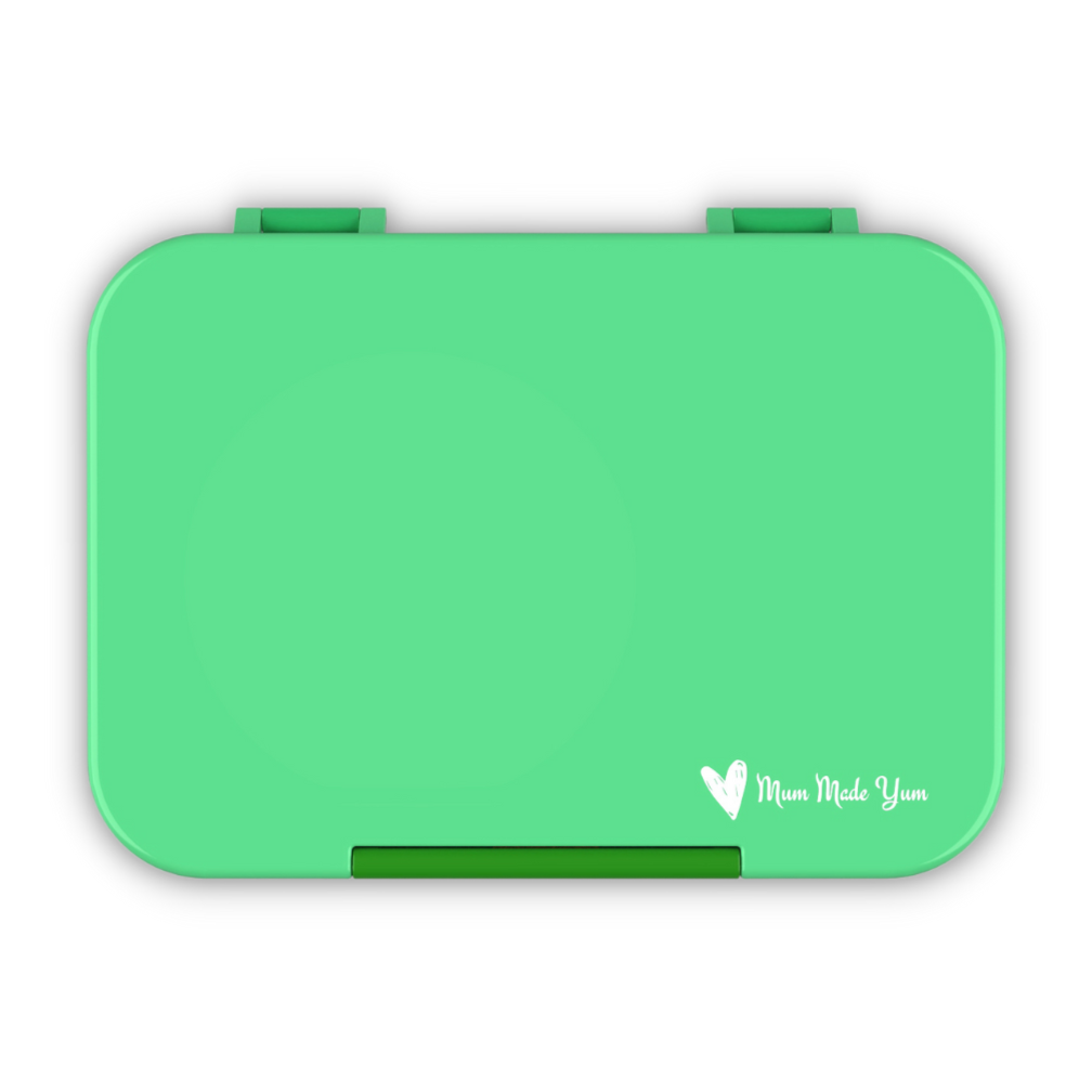 Bento Lunchbox (Medium) - Green