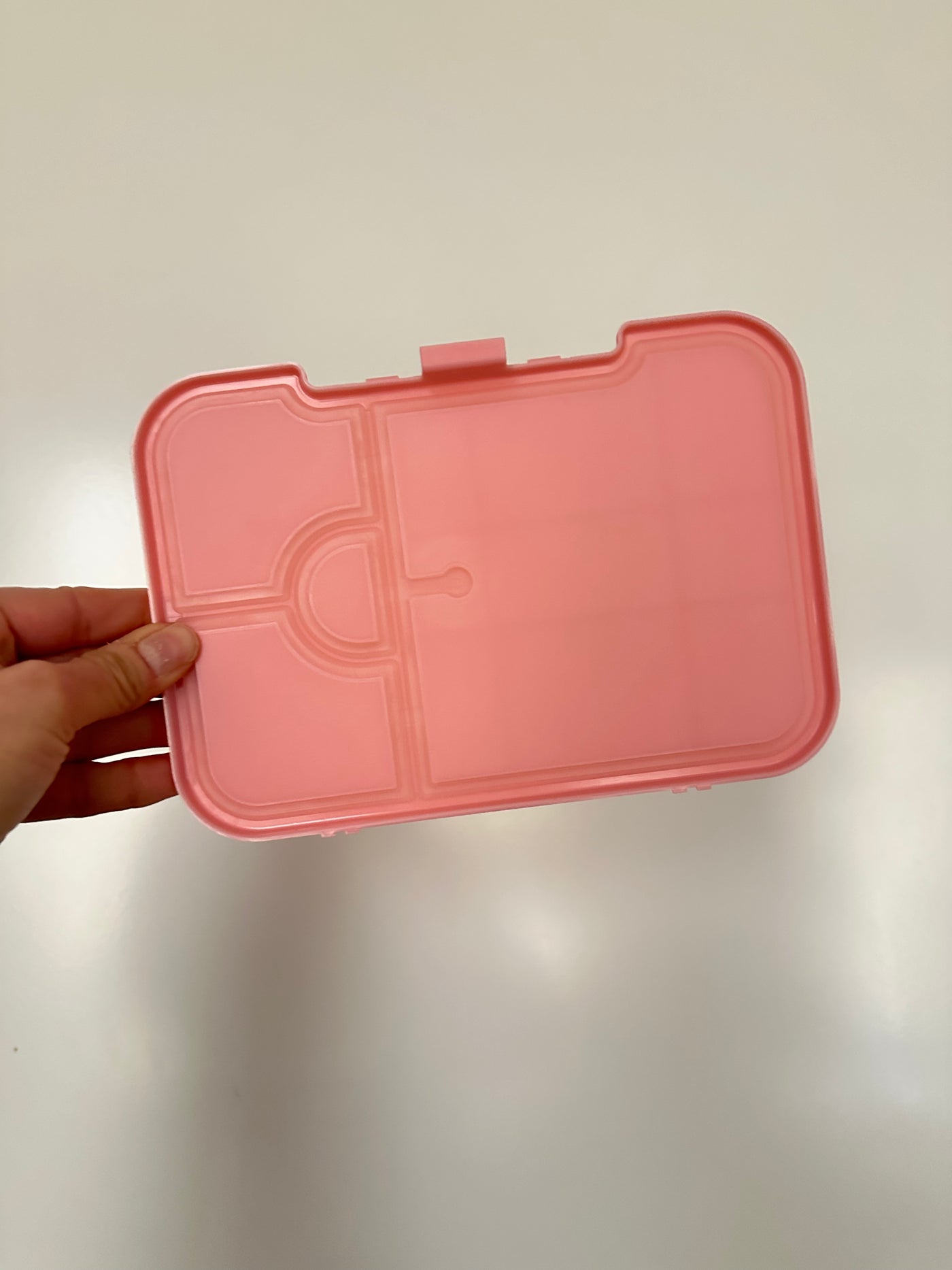 Replacement Seal Board - Medium Lunchbox