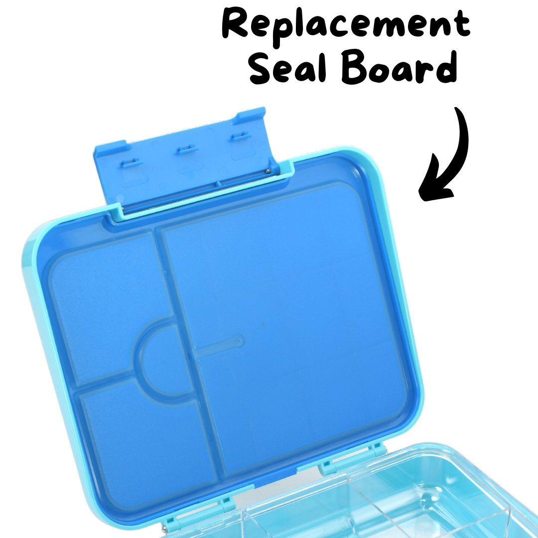 Replacement Seal Board - Large Lunchbox