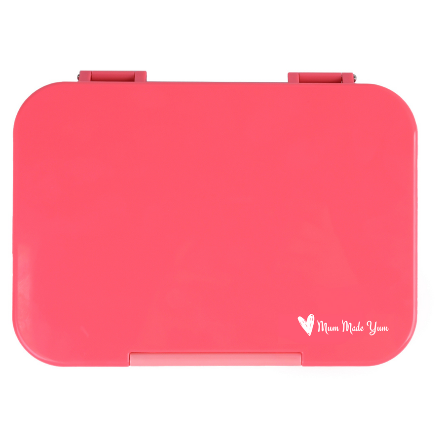Bento Lunchbox (Medium) - Pink