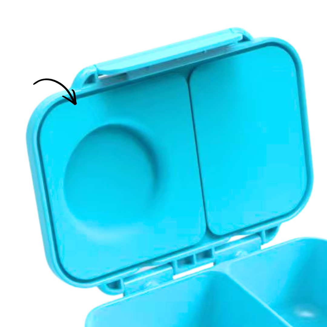 Replacement Seal Board - Mini Snack Lunchbox