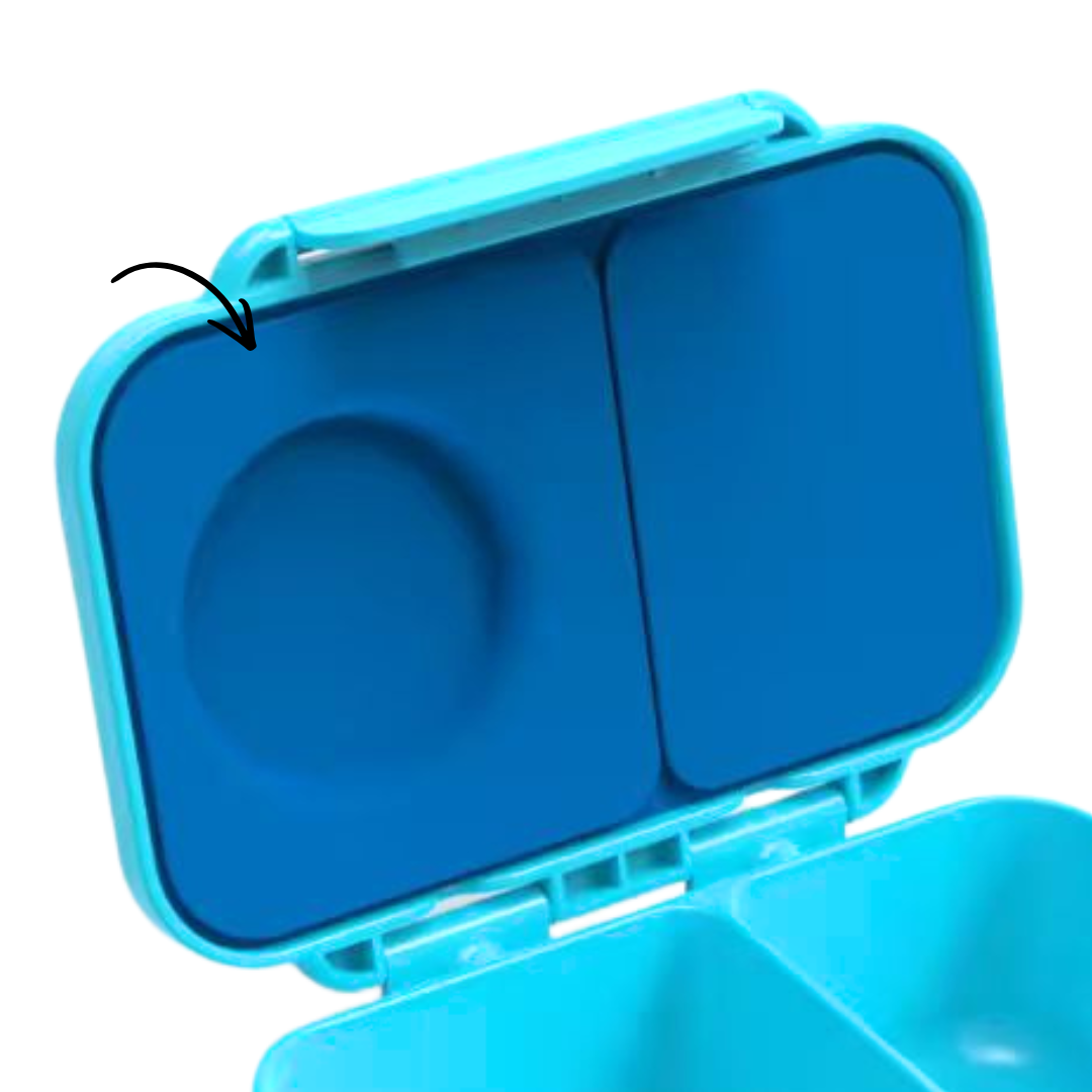 Replacement Seal Board - Mini Snack Lunchbox