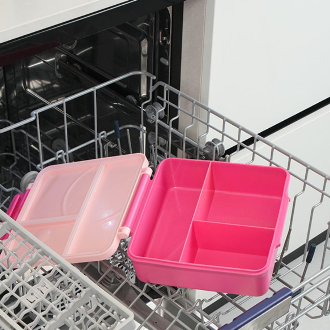 Maxi Bento Lunchbox Dishwasher Safe