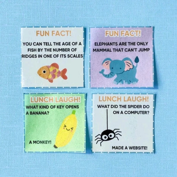 Sticketies - Edible Lunchbox Stickers - Nommy Lunchbox Notes
