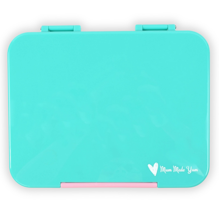 Bento Lunchbox (Large) - Teal (Pink Clip)