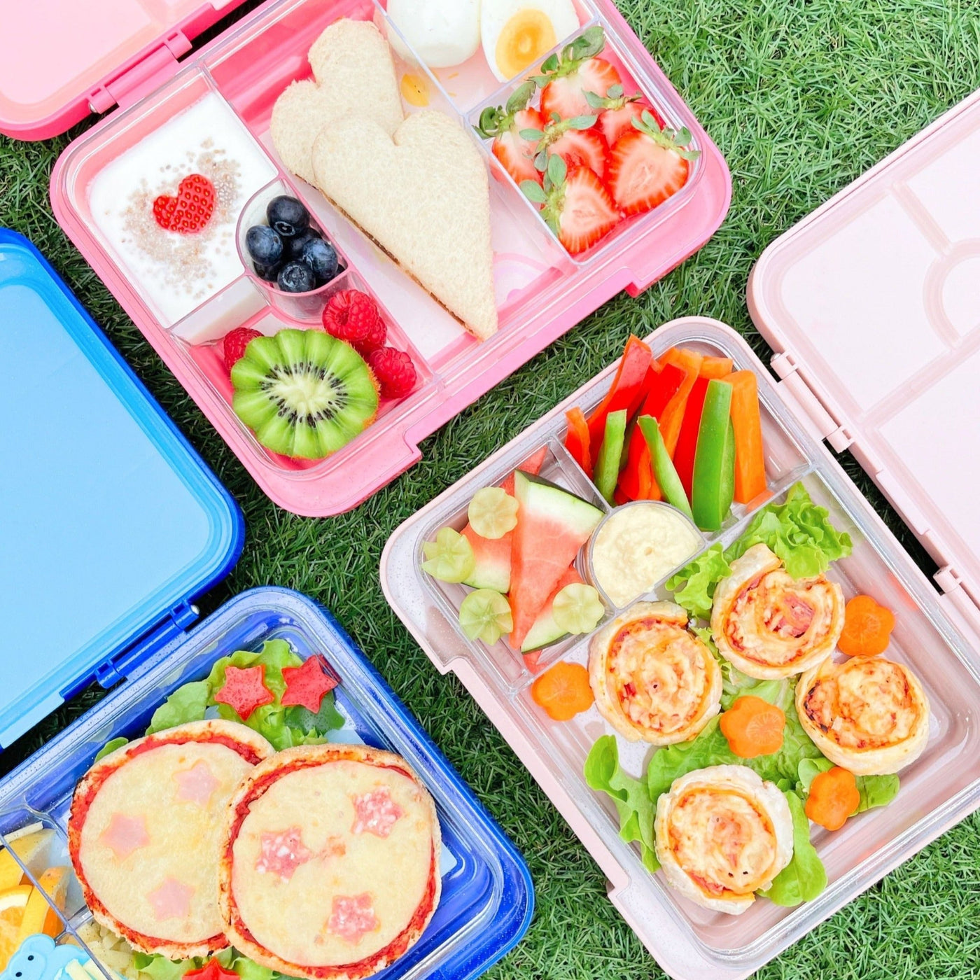 Bento Lunchbox (Large) - Light Blue Dino - LAST ONE - Mum Made YumLunchbox