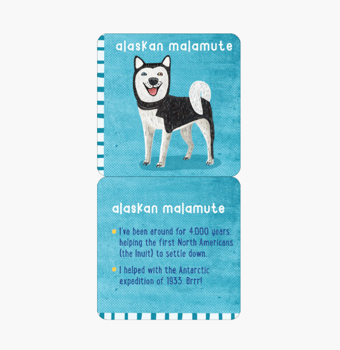 Lunchbox Notes - All The Dogs - Mum Made YumAccessories
