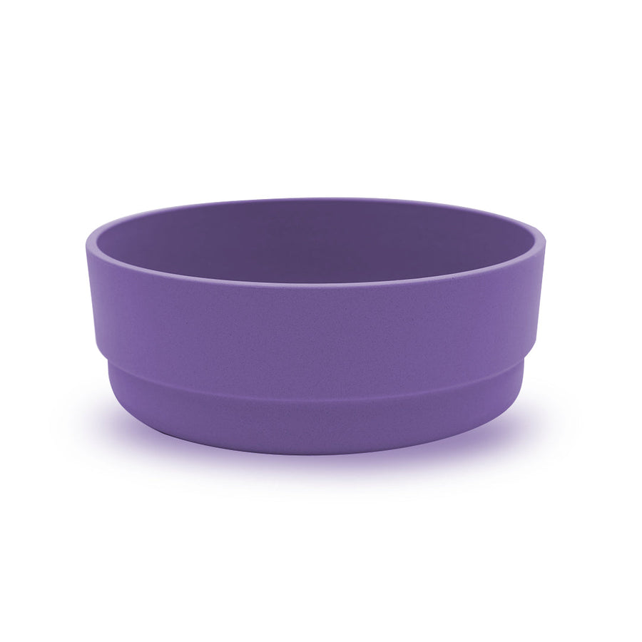 Purple bowl on a white background