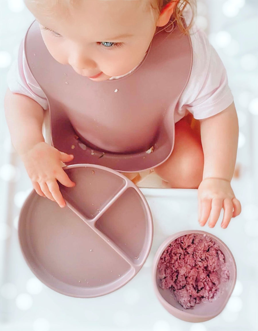 Silicone Suction “No-Mess” Bowl
