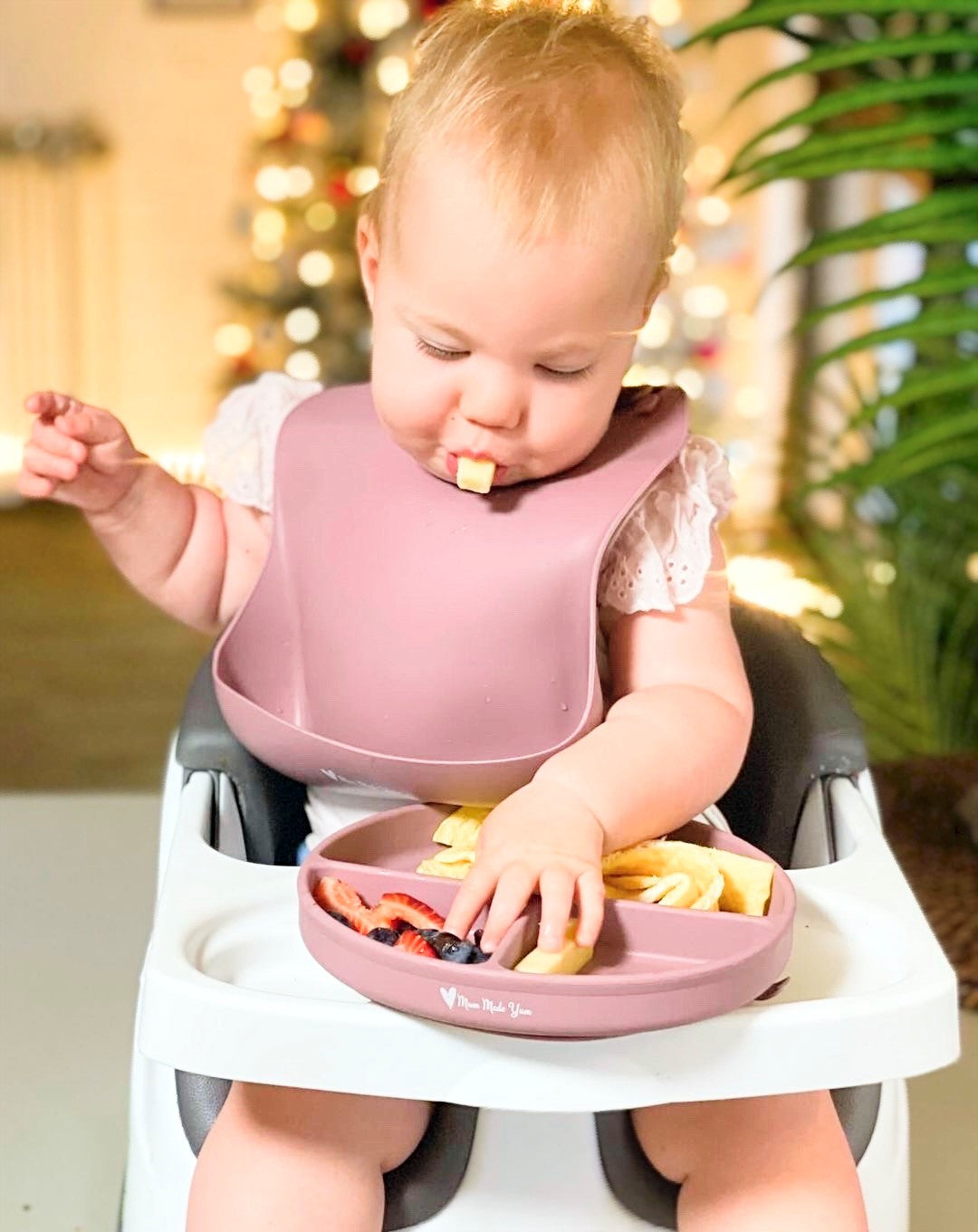 Silicone "No Mess" Baby Bib