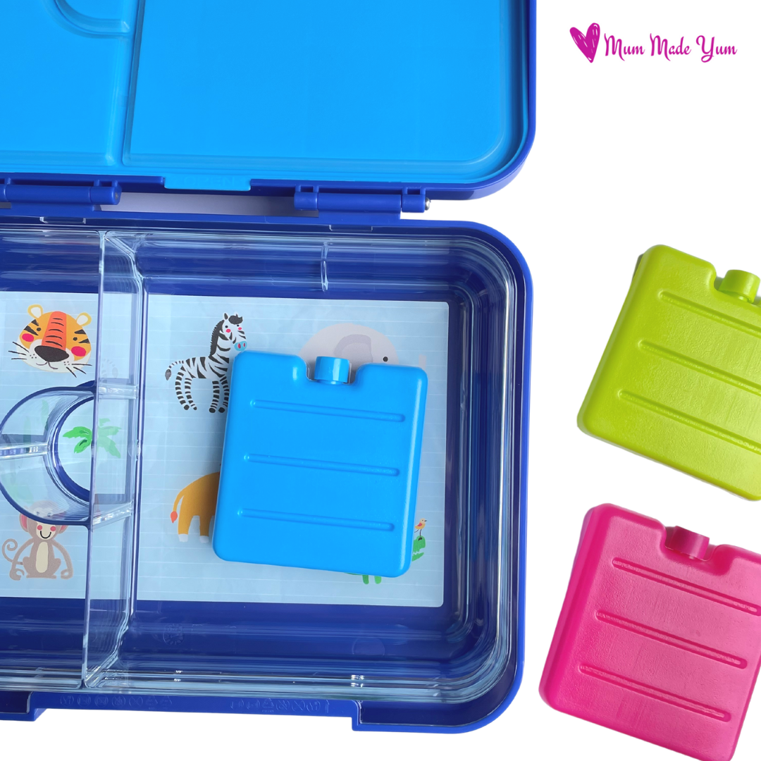 Lunch box with ice top brick