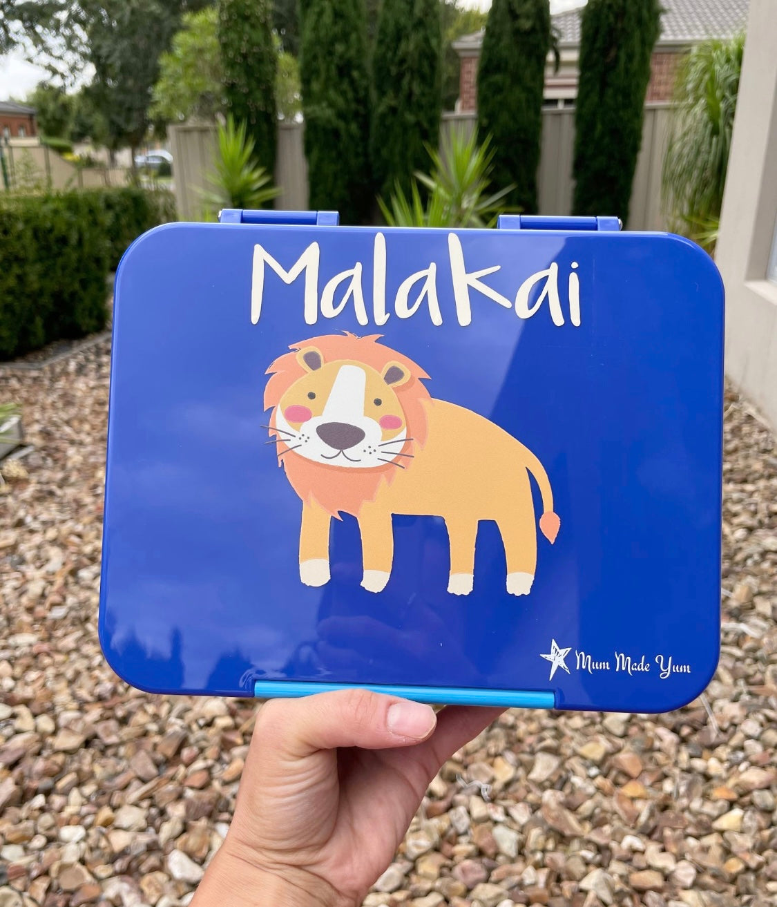 Bento Lunchbox (Large) - Safari3
